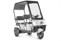 Электротрицикл Wanshida NIPLA 500 60V 1000Вт