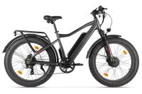 Электровелосипед Eltreco BigCat Dual Next