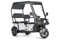 Электротрицикл Wanshida NIPLA 570 60V 1000Вт