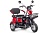 Электротрицикл Rutrike Бумеранг