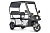 Электротрицикл Wanshida NIPLA 570 60V 1000Вт