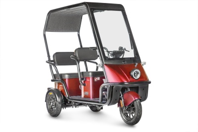 Электротрицикл Wanshida NIPLA 500 60V 1000Вт