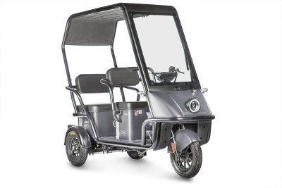 Электротрицикл Wanshida NIPLA 500 60V 1000Вт