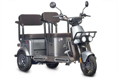 Электротрицикл Wanshida U1-X 60V 800Вт