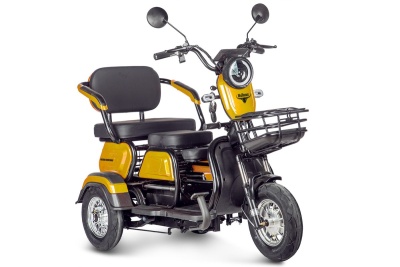 Электротрицикл Rutrike Бумеранг